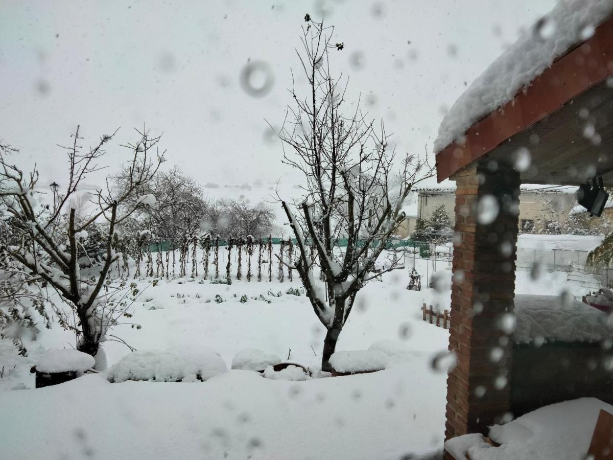 Maitia Villa Larraona Kültér fotó