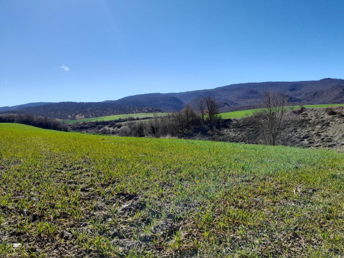 Maitia Villa Larraona Kültér fotó